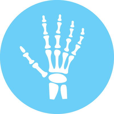 icon-bone_400x400 Bone, Joint & Muscle Support